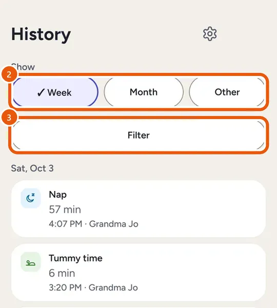 History showing Week, Month, Other and Filter above the entries
