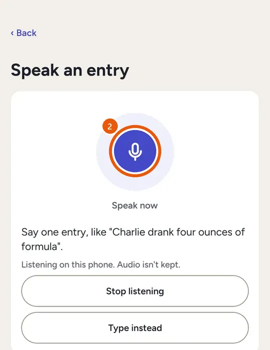 Speak an entry, with the microphone button and examples to try